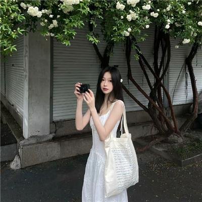 惹不起的宫主大人