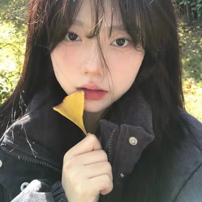 山中有些小精灵